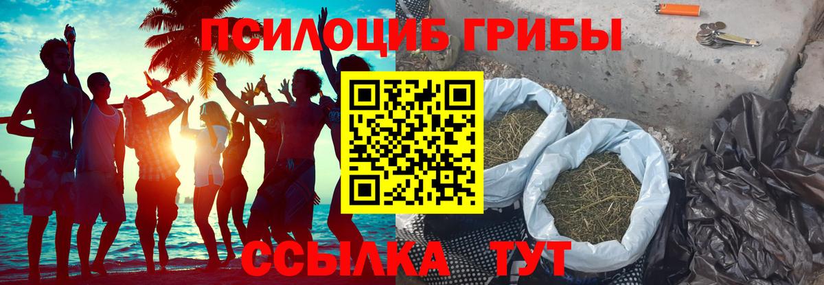 Псилоцибиновые грибы Cubensis  Псилоцибиновые грибы ЛСД  Воронеж  Вход с VPN 